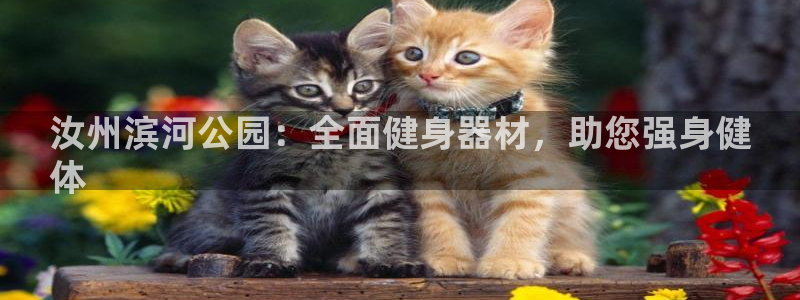 富联平台项7O777:汝州滨河公园:全面健身器材,助您强身健