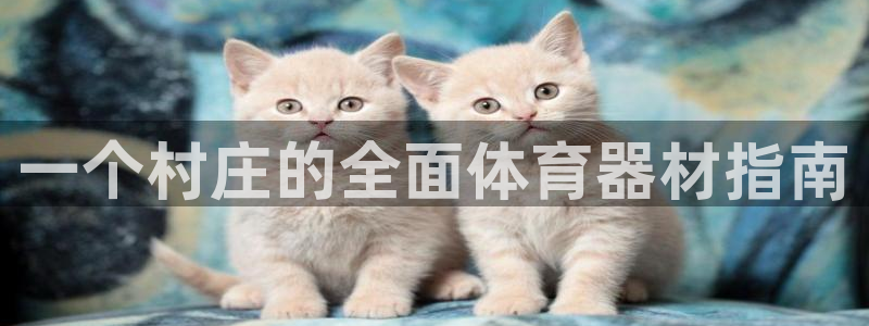 富联科技上市了吗知乎:一个村庄的全面体育器材指南