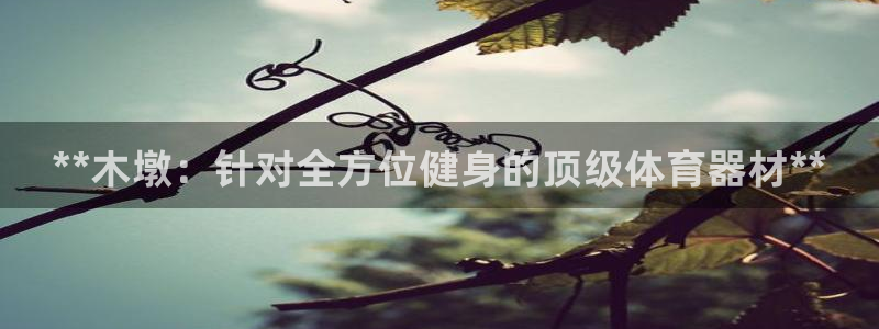 富联娱乐代理怎么做的:**木墩:针对全方位健身的顶级体育器材