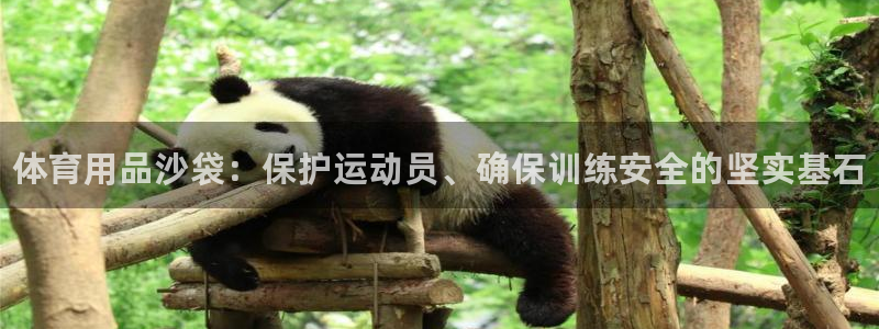 富联娱乐平台开户流程图:体育用品沙袋:保护运动员、确保训练安