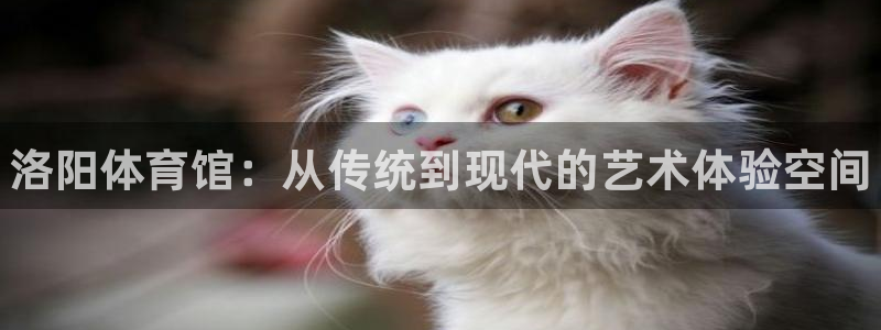 富联娱乐登录注册不了:洛阳体育馆:从传统到现代的艺术体验空间