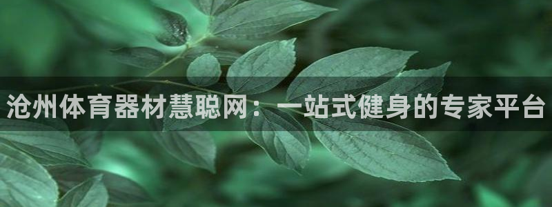 富联官方网站下载app:沧州体育器材慧聪网:一站式健身的专家